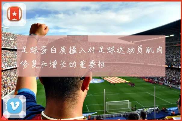 足球蛋白质摄入对足球运动员肌肉修复和增长的重要性